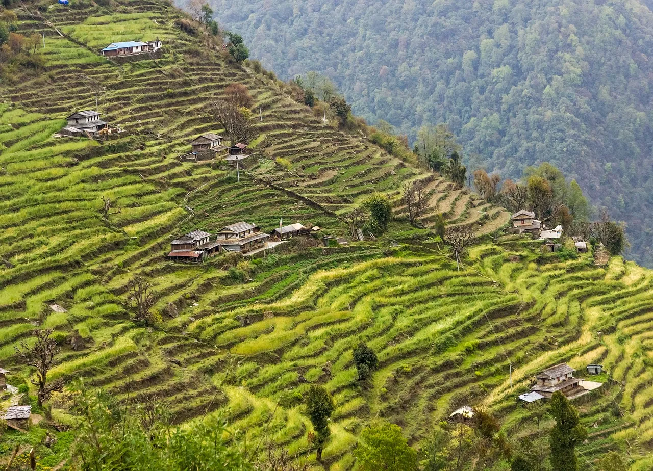 Nepal